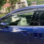 ユーザー画像
