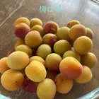 ユーザー画像