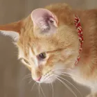ユーザー画像