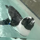 ユーザー画像