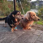 ユーザー画像
