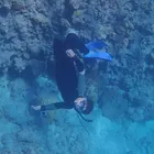 ユーザー画像