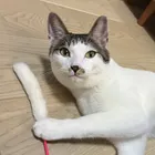 ユーザー画像