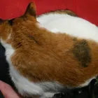 ユーザー画像