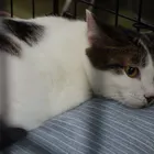 ユーザー画像