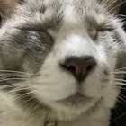ユーザー画像
