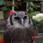ユーザー画像