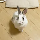 ユーザー画像