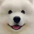 ユーザー画像