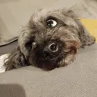 ユーザー画像