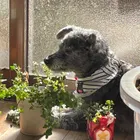 ユーザー画像
