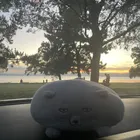 ユーザー画像