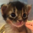 ユーザー画像