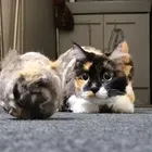 ユーザー画像