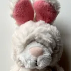ユーザー画像