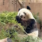 ユーザー画像