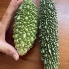 ユーザー画像