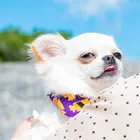 めぐみ