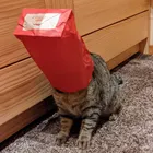 ユーザー画像