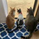 ユーザー画像