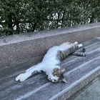ユーザー画像