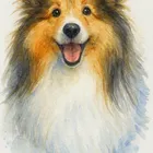 ユーザー画像