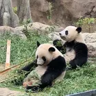 ユーザー画像