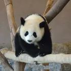ユーザー画像