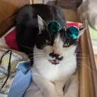 ユーザー画像