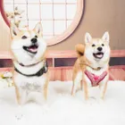 ユーザー画像