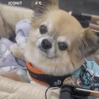 ユーザー画像