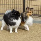 ユーザー画像