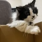 ユーザー画像