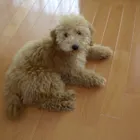 ユーザー画像