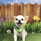 ユーザー画像