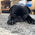 ユーザー画像