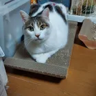 ユーザー画像
