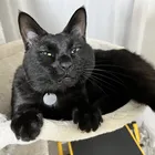 ユーザー画像
