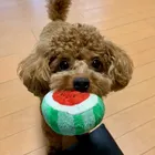 ユーザー画像