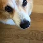 ユーザー画像