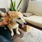 ユーザー画像