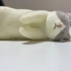 ユーザー画像