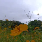 ユーザー画像