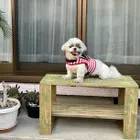ユーザー画像