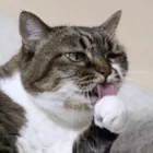 ユーザー画像