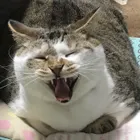 ユーザー画像