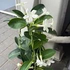 ユーザー画像