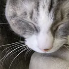 ユーザー画像