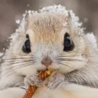 ユーザー画像