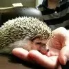 ユーザー画像
